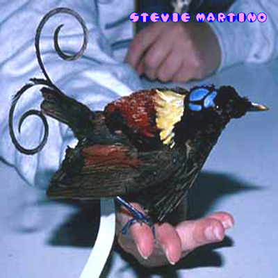 Wilson's Bird of Paradise